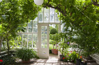 free Littlewood orangery quotes